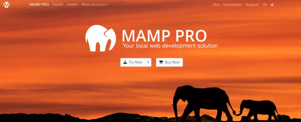 Setup WordPress Locally Using MAMP
